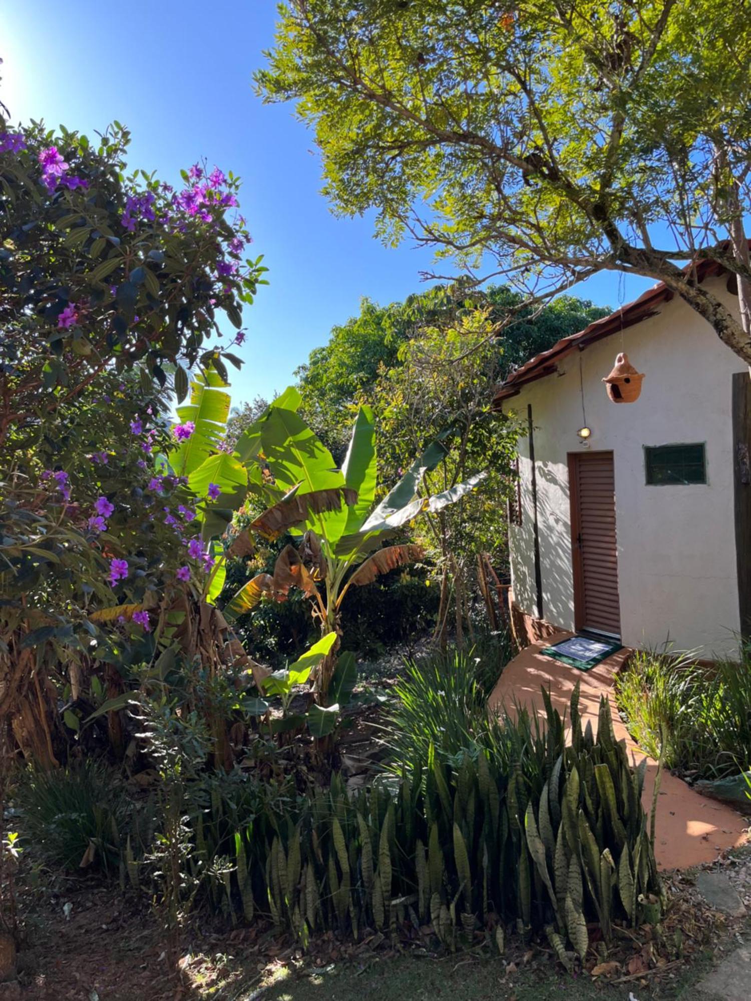 Pousada Rancho Dos Ipes Алту-Параїзу-ді-Гояс Номер фото